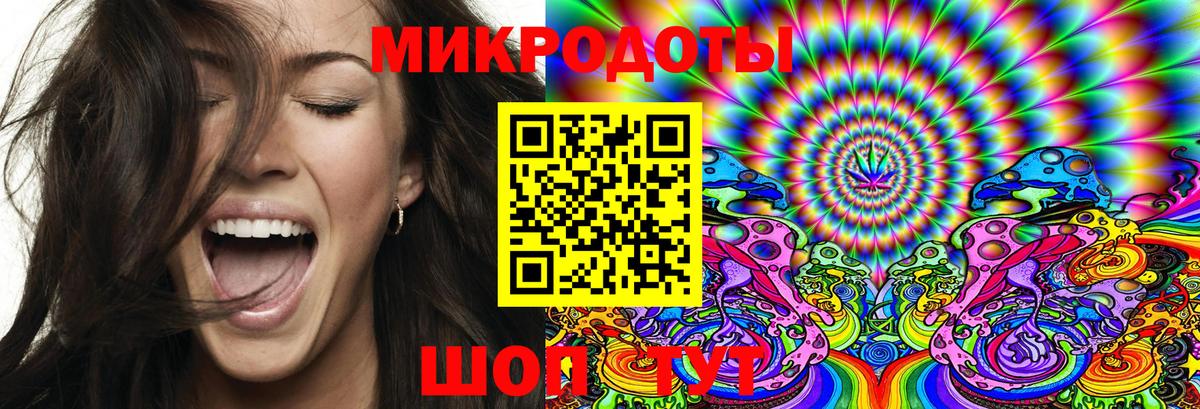 Псилоцибиновые грибы Psilocybe Ейск