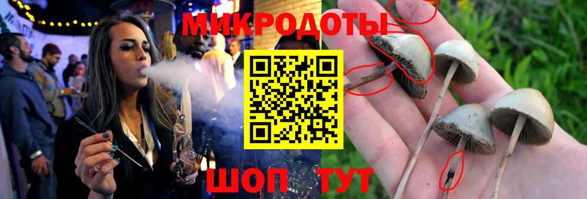 где купить наркоту  Псилоцибиновые грибы GOLDEN TEACHER  Вход с VPN  Ейск  Галлюциногенные грибы прущие грибы 